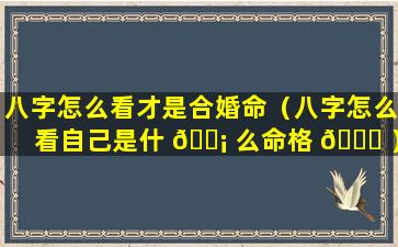 八字怎么看才是合婚命（八字怎么看自己是什 🐡 么命格 🐎 ）